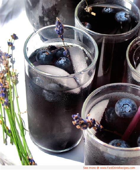 What's the best vodka to drink in summer? Blueberry Lavender Vodka Spritzer Recipe