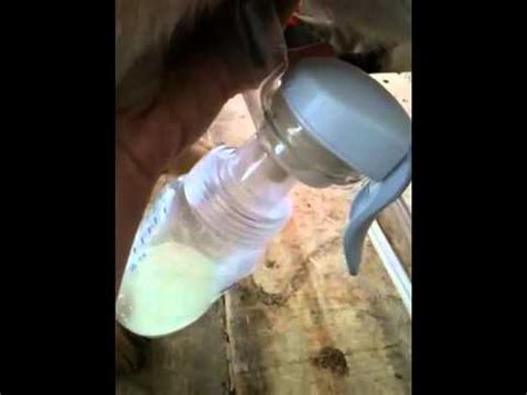 Most popular free hd 'ass machine' movie. Milking a Goat With a Breast Pump - YouTube