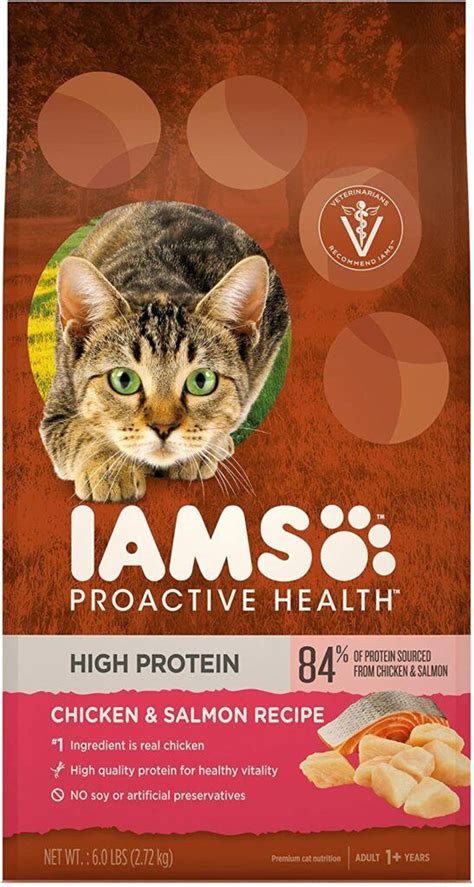 It's also packed with goodies to keep joint health, kidney health, and other common complains in older cats. What Is The Best Cat Food For Older Cats? Feeding Your ...