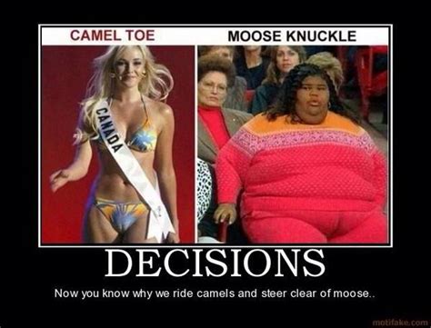 Camel toes are a female problem, and moose knuckles are a male problem. HoTtCheF on Twitter: "@TMZ 😳😳that ain't Camel Toe!!! That ...