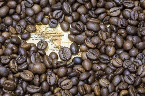 When it comes to the best coffee brands in australia, coffee alchemy takes the cake. 5 Best Guatemalan Coffee Brands in 2020