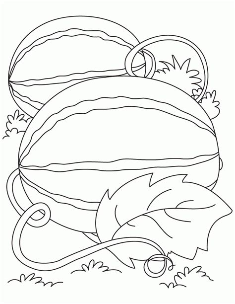 Free printable eating watermelon coloring page for kids to download, watermelon coloring pages Watermelon Coloring Pages - Best Coloring Pages For Kids