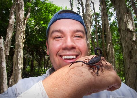 First a gatekeeper channel, followed by one that broadcasts pain to the brain. The Herping Michigan Blog