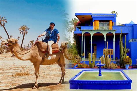 We had a lovely morning running in to early afternoon & even threw in an extra detour via the palmerie to show us some baby camels &whistle stop fir done refreshing mint tea. Majorelle Garden With Camel Ride in the Palms From ...