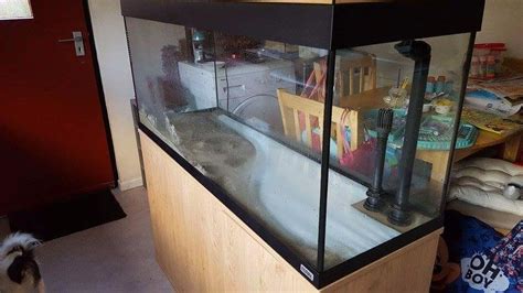 This stand is suitable for fluval vista 16 gal (60 l) aquarium (item# 15245). Fluval Roma 200l aquarium plus cabinet | in Inverness ...