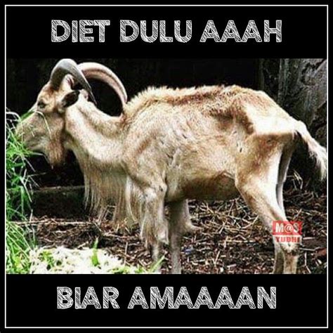 All stats in a certain bracket feel the same. #Diet #qurban #haji #lucu | Lucu, Meme, Binatang