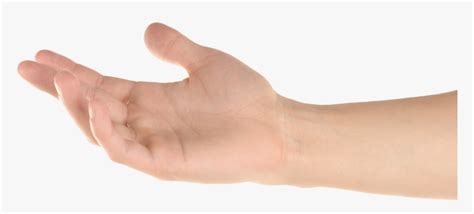 Your download will start shortly, please wait. Transparent Reaching Hand Png - Hand Reaching Out Png, Png ...