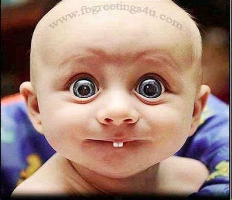 Find over 100+ of the best free funny baby images. funny babies Images Pictures Comments