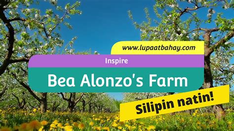 Maybe you would like to learn more about one of these? Bea Alonzo's Farm the "BEATI FIRMA" - YouTube