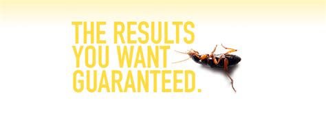 Contact - Arrow Termite & Pest Control