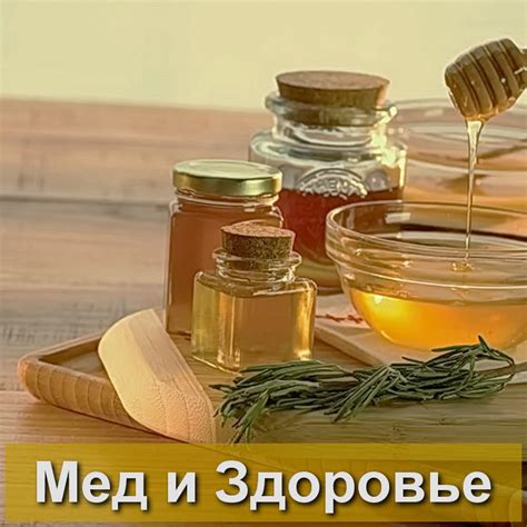 Лечебные свойства меда - способы применения меда для здоровья