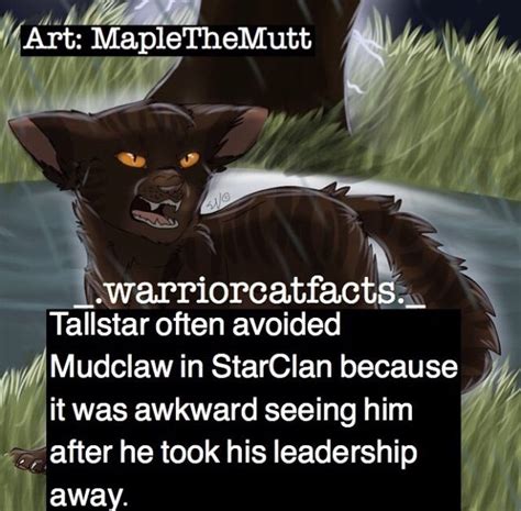 Post a controversial warrior cat comment in the notes i wanna start a discussion. Warrior cat facts pt.5 | Warriors Amino