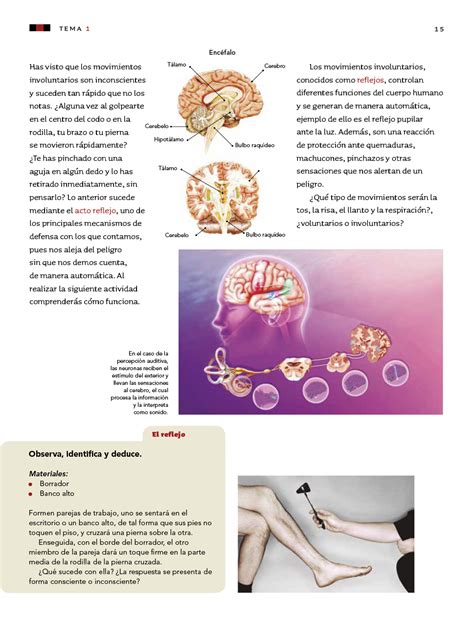 Libro ciencias naturales 5 grado es uno de los libros de ccc revisados aquí. Libro De Ciencias Naturales 5 Grado 2019 - Amazing 2020