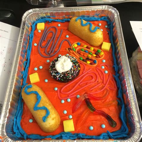 Pin by Lisa Cotto on Cells project | Plant cell project, Edible cell project, Cells project