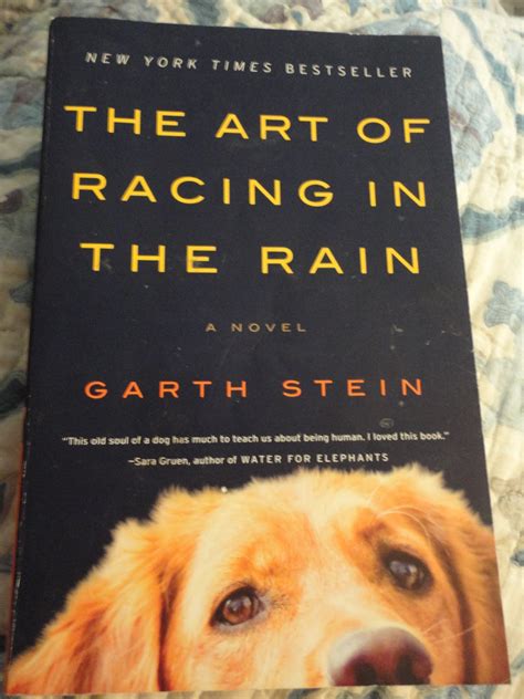 The art of racing in the rain. Victorian Soul Book Critiques: O.o.O.C.: "The Art of ...