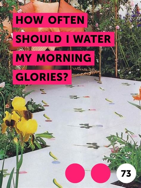 Whether you need guidance on caring for new plants or have some. Learn How Often Should I Water My Morning Glories? | How ...