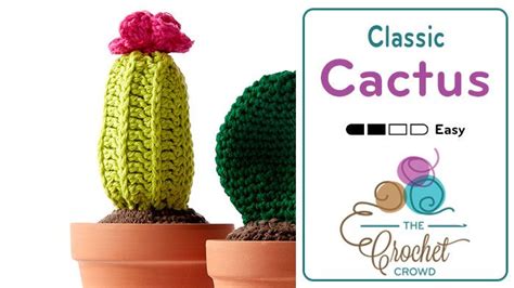 The plural is cacti or cactuses. Crochet Classic Cactus Flower Pot + Tutorial | Cactus ...