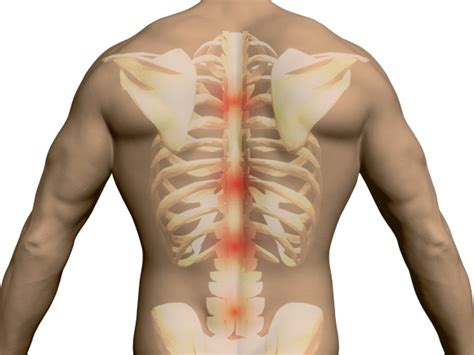 If you were to develop well defined rib cage muscles, they would give off the appearance of fingers on your sides. Have You Got Muscles Outside Rib Cage : How To Build The ...