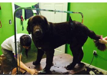 Looking to start or upgrade your mobile pet salon business. 3 Best Pet Grooming in Jacksonville, FL - ThreeBestRated
