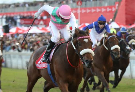 2021 durban july free bets. Hollywoodbets Sports Blog: Made To Conquer - Vodacom ...