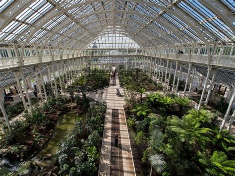 Public banks collect qualifying cord blood donations from healthy pregnancies and save them in case one of them will be the match to save the life of a patient who needs a stem cell transplant. Kew Gardens London - Inside The Newly-Restored Temperate House