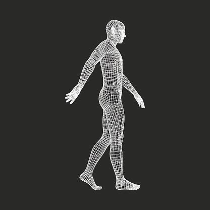 Download your collections in the code format compatible with all browsers, and use icons on your website. Walking Man 3d Human Body Model Geometric Design Vector ...