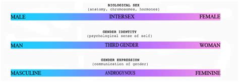 The gender spectrum is an understanding that gender is not binary (female/male), but rather a spectrum of biological, mental and emotional traits that exist along a continuum. Srishti Madurai : Newpapers mention Intersex person as ...