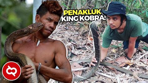 Dari foto di atas, kita bisa lihat bagaimana besarnya ular tersebut. Begini Jadinya Ketika Penakluk Ular Rela Dipatok Demi ...