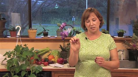 Are hydrangeas and snowball bushes the same? Gardening & Plant Care : How to Prune Hydrangeas - YouTube