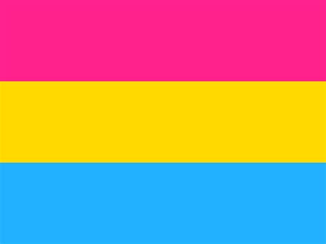 We have 66+ amazing background pictures carefully picked by our community. Pansexual Flag Wallpapers - Wallpaper Cave