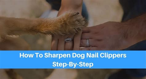 How do you cut a dog's nails that are black? How To Sharpen Your Dog Nail Clippers Step-By-Step