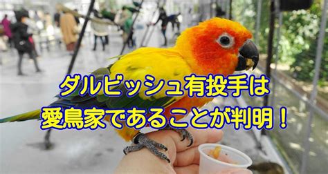 Search the world's information, including webpages, images, videos and more. 【鳥ニュース】ダルビッシュ有選手がコガネメキシコインコの ...