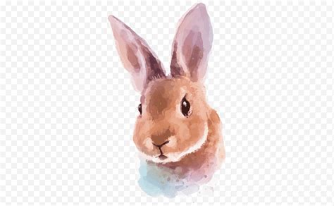 احصل على إصدار جديد من صانع صور مضحكة. أرنب عيد الفصح ، أرنب ، لوحة ألوان مائية ، أرنب ، رسم ...