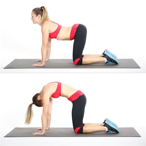 Woman doing exercise with cat cow pose to stretch back muscle and promote spinal flexibility. Relieve Back Pain With Cat Cow Stretch | POPSUGAR Fitness