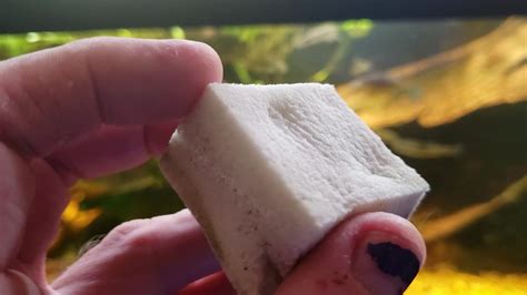 Stop suffering from lack of sleep, read which product is really worth buying. Is "Magic Eraser" Safe For Aquarium Use? (Melamine Foam ...