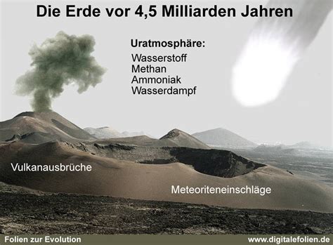 Der turmbau wie aber entstanden nun verschiedene sprachen aus einer anderen? Mediendatenbank Biologie, Evolution