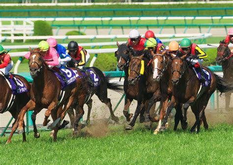 2021年6月27日、上半期を締めくくるグランプリ「宝塚記念」が阪神競馬場で開催される。 昨年、圧勝したクロノジェネシスが連覇を果たすのか。 となるとド真ん中すぎるので…… せめてレイパパレを1着固定にして夢を託すつもり。 とはいえ、なんだか今年の宝塚記念は大荒れす. Tonyの競馬写真ブログ 第50回宝塚記念