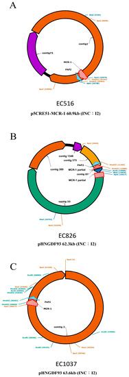 We did not find results for: Diagram Eq Yang Bagus - Sedangkan, anak yang memiliki eq ...