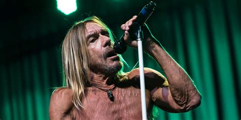 There's no ambiguity here — besides the many pictures of the two together, iggy wrote a song, look away, from the 1996 album. Iggy Pop Has His Own Signature Coffee | Pitchfork