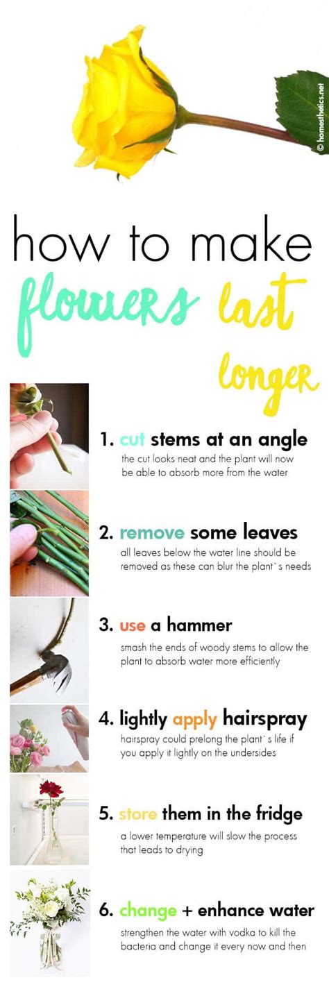 Make the love for the flowers last as long as possible with these simple yet effective tips that will have your thumb feeling green and your eyes seeing keeping flowers well hydrated is the number one way to prolong their life. 13 Brilliant Flower Arrangement Tips and Tricks For Your ...