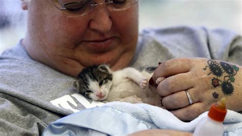 Want to make a difference? Clear the Shelters pet adoption event lives up to its name ...