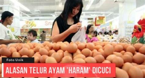 Check spelling or type a new query. Mencuci Telur Ayam Sebelum Dimasukkan Kulkas, Ternyata ...