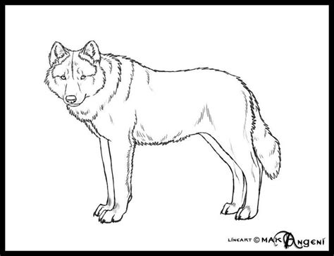 613 x 758 png 201kb. Free lineart-Wolf | Wolf colors, Coloring pages, Wolf ...