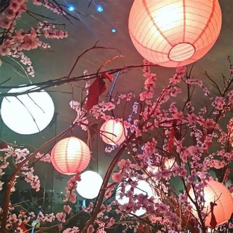 #aesthetic #red #flower