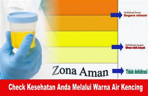 Air zamzam ditambah bakteri, ini yang terjadi. Check Kesehatan Anda Melalui Warna Air Kencing | Warna air ...