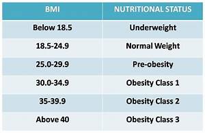 What Is Body Mass Index Bmi Limitations And Dietary Patterns