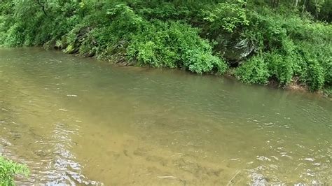 .a quiet country setting in york, pa, minutes from route 30, with shopping, schools and restaurants located nearby, you can ease back and enjoy a convenient, comfortable lifestyle. trout fishing deer creek york county pa ‎Sunday, ‎May ‎20 ...