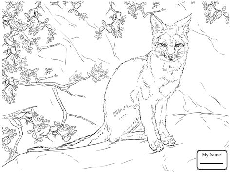 In addition to the sharper bark their posture and stance changes in defensive mode ready to go into attack mode should the need fox coloring pages printable. Red Fox Coloring Page at GetColorings.com | Free printable ...