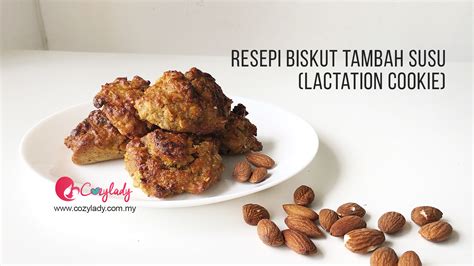 Distributor biskuit panpan choco biskuit. Resepi Lactation Cookie - Resepi Biskut Tambah Susu Ibu ...