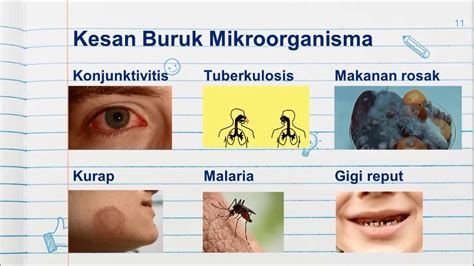 Upbeat corporate by fretbound fretbo. Mikroorganisma - Sains Tahun 6 - YouTube